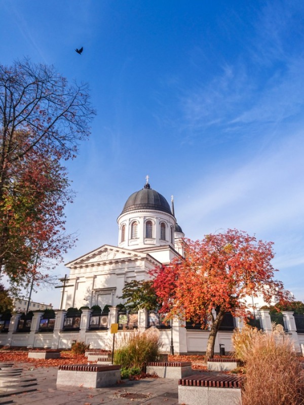 Jesień 2019 r.