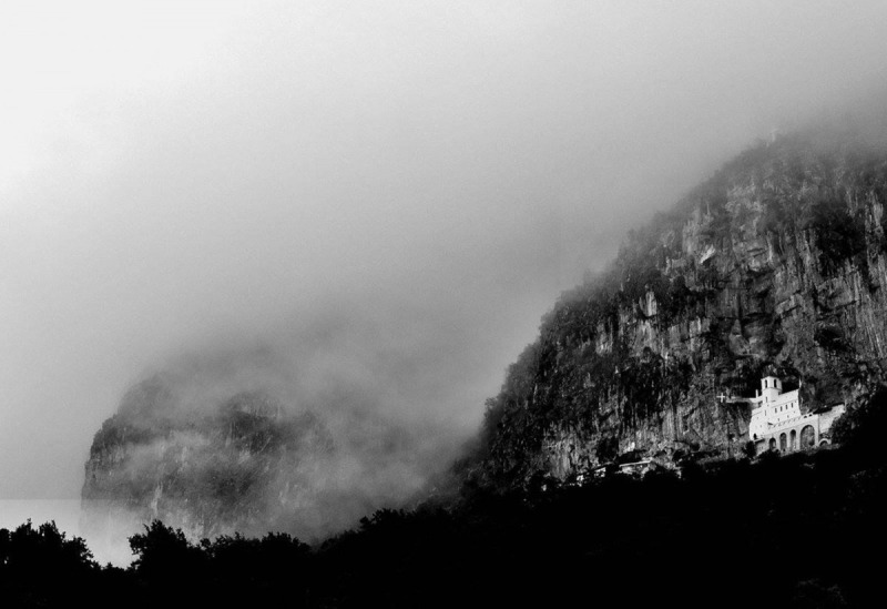 OrthPhoto Awards, nagrodzone prace #2
