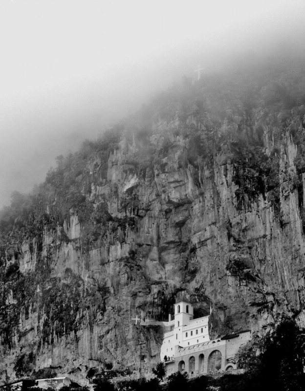 OrthPhoto Awards, nagrodzone prace #2