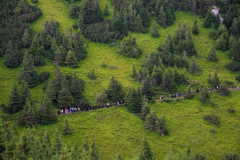 OrthPhoto Awards, nagrodzone prace #2