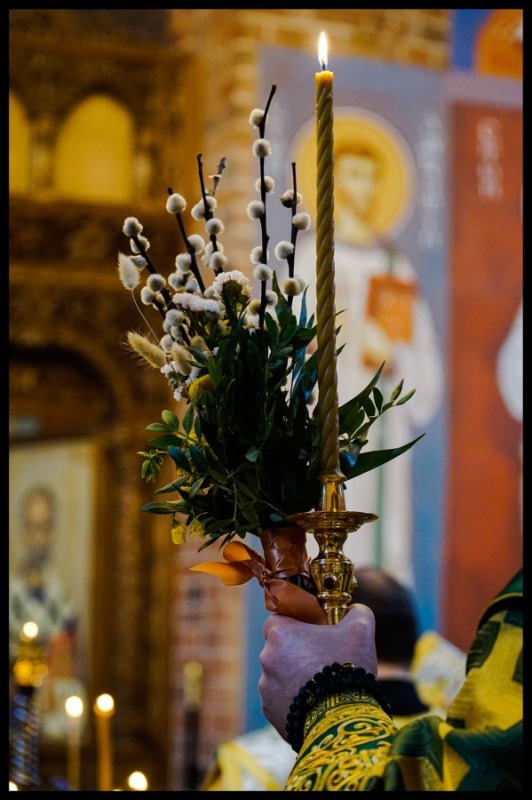 Niedziela Palmowa