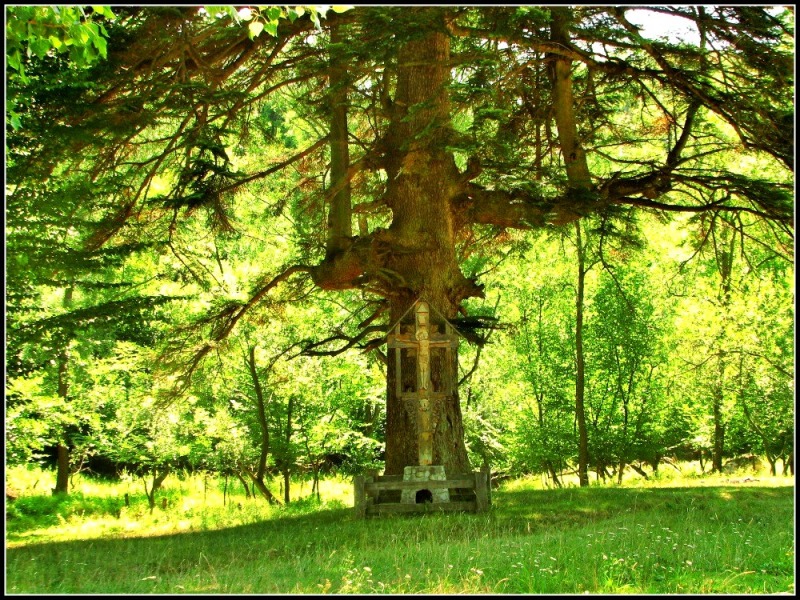 Świętość Pięćdziesiątnicy