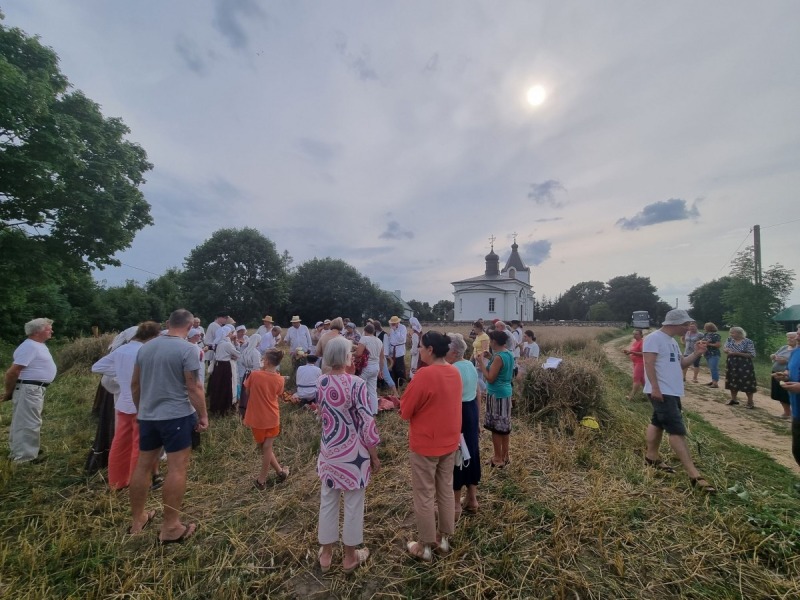 Zboża i zioła