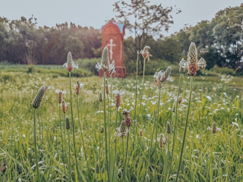 Nieuniknione prawo życia
