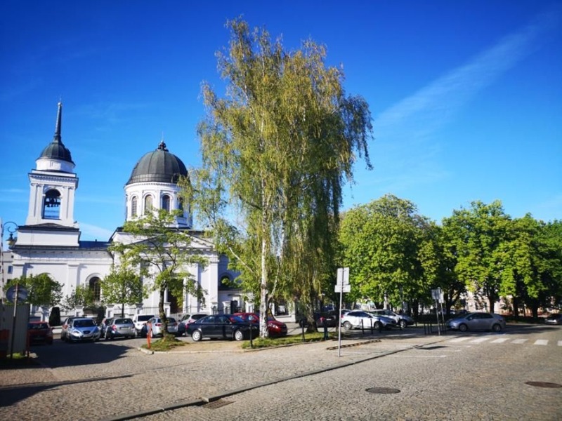 Cierpliwy Ogrodnik
