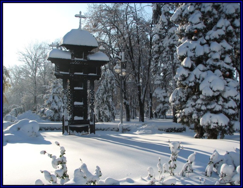 Głupota bogacza