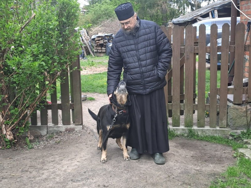 Pielgrzymka do Wojnowa