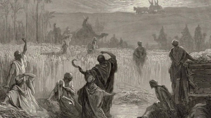 Przystań nad Biblią: Król Dawid