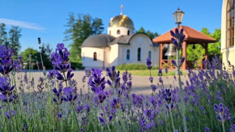 Zaproszenie na święto Turkowickiej Ikony Matki Bożej 14-15 lipca 