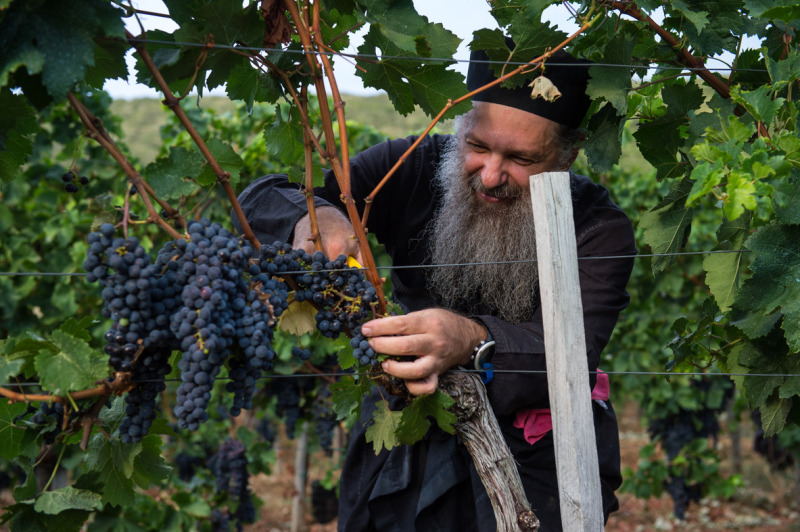 Życie człowieka pracą w winnicy Bożej