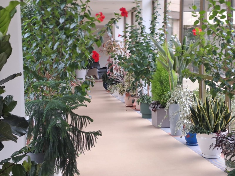 Pielgrzymka autokarowa do Druskiennik "Sanatorium Duszy"